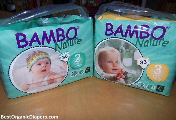 Safest Non Toxic Disposable Diapers